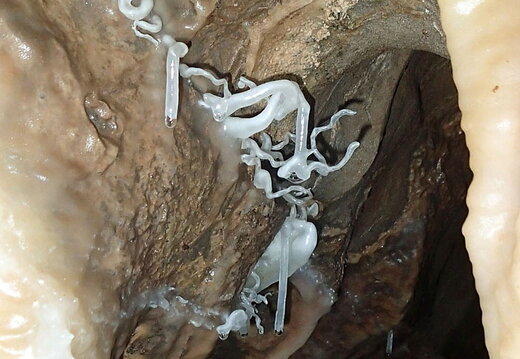 P3020079