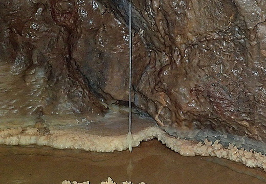 P1120124 - Copy