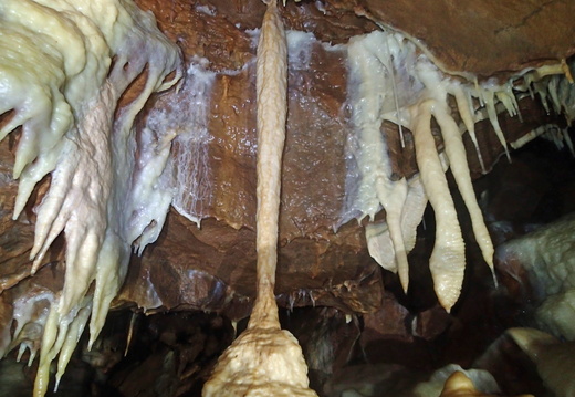 P1130018