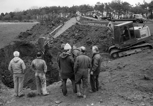 10002600Image 10 (12)