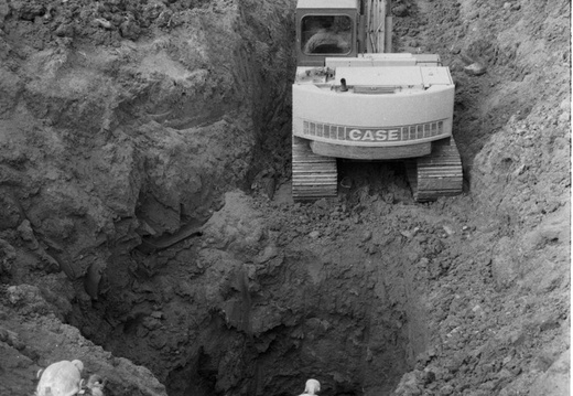 10002606Image 10 (18)11