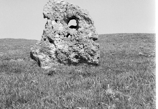 Image 1 19 (2)