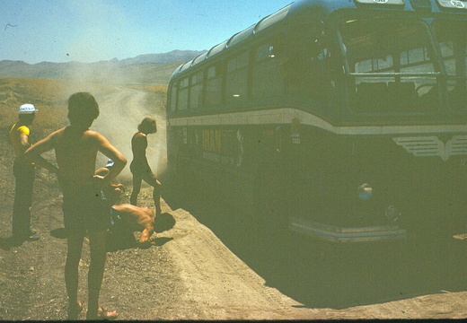 a1234 (46)